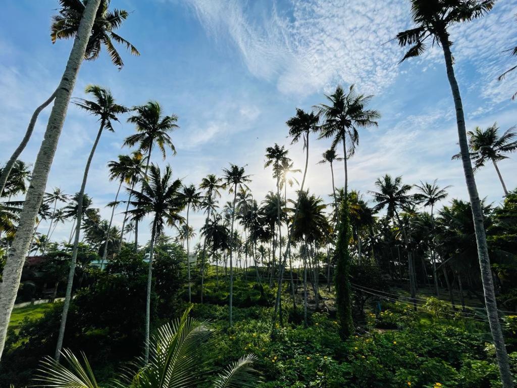 Cliff & Coral Hostel Varkala Exterior photo